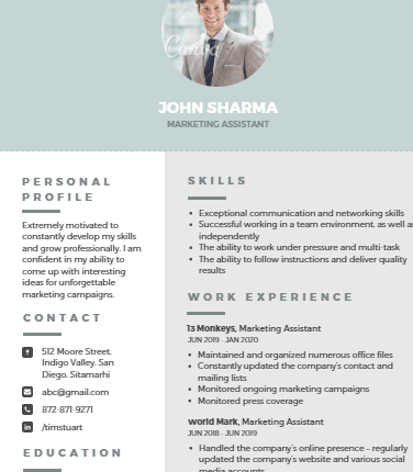 Technical Writer Resume